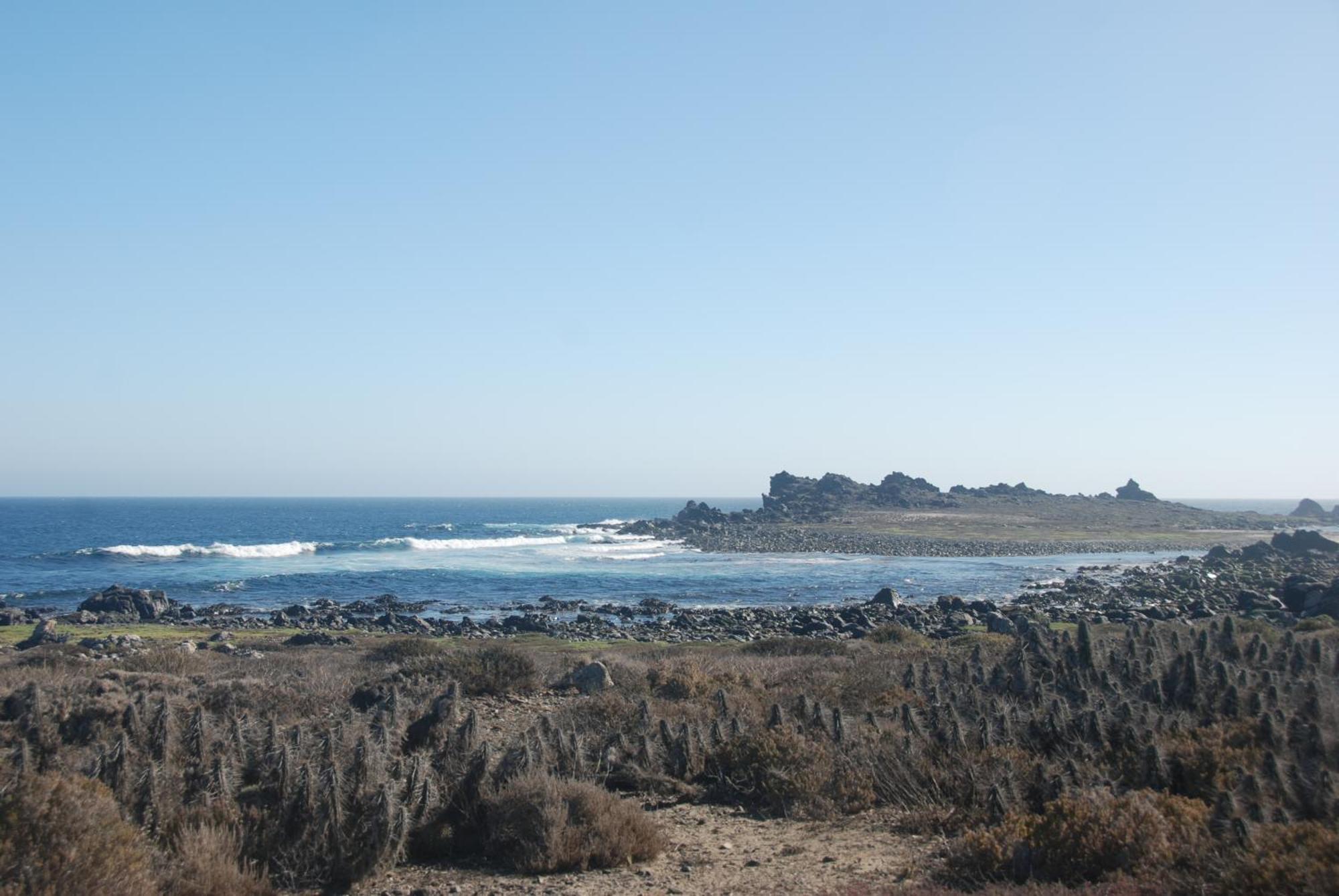 Cabanas Las Hualas Punta de Choros Exterior foto